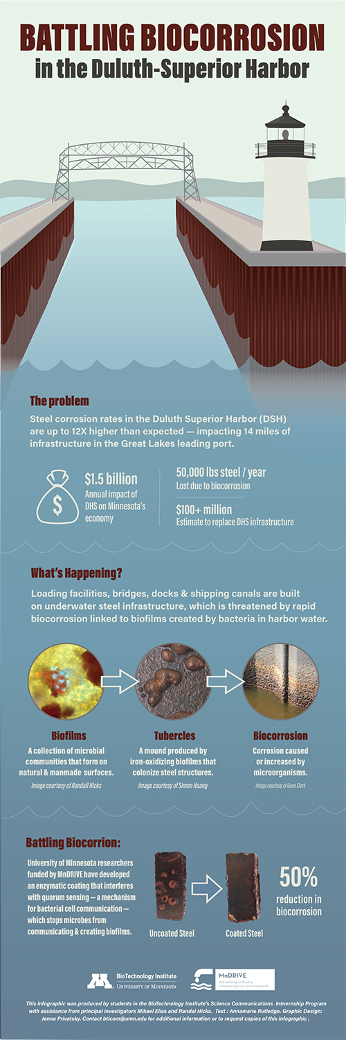 Biocorrosion in the Duluth-Superior Harbor illustration with lighthouse, bridge, canal.