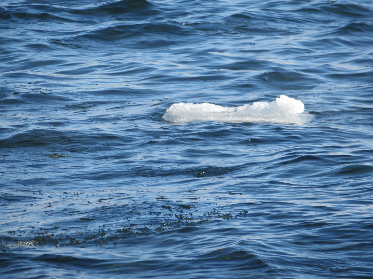 Blue water with floating frazil ice and brash ice