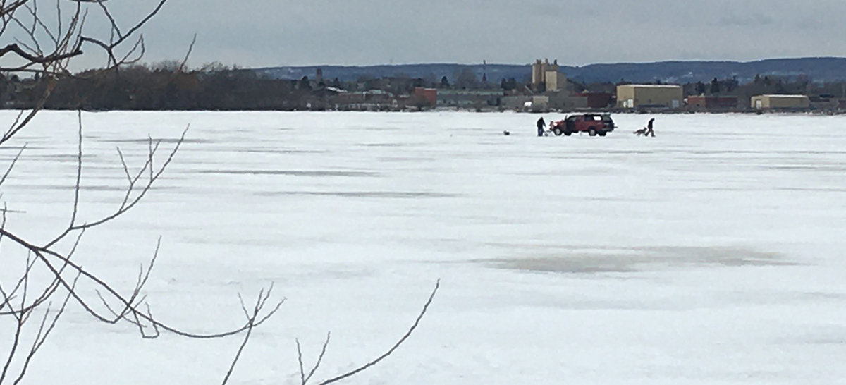 A vehicle, two people, and one dog on a frozen harbor with city skyline in the background. 