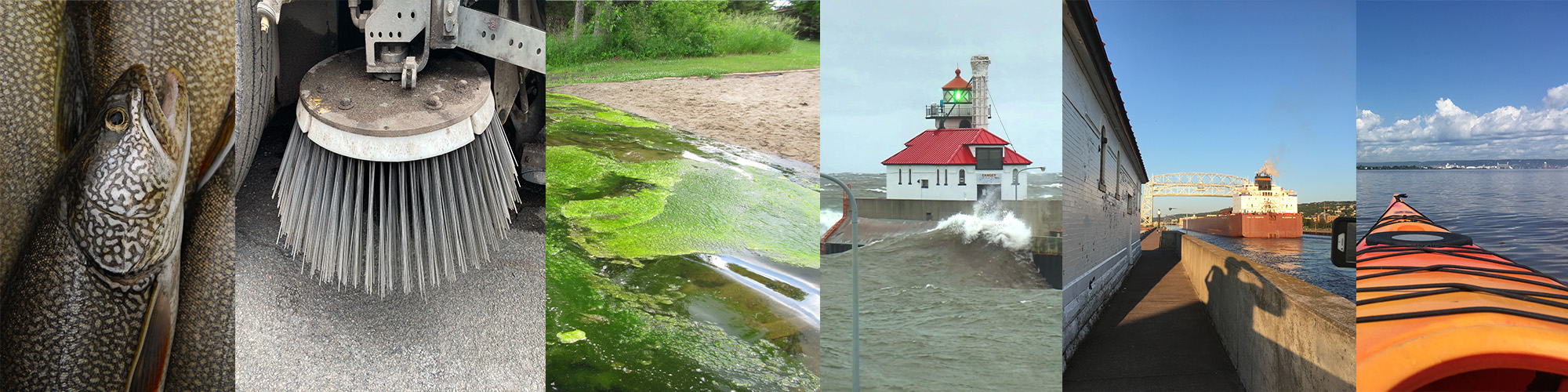 Fish, street sweeper, algae, lighthouse, ship, kayak