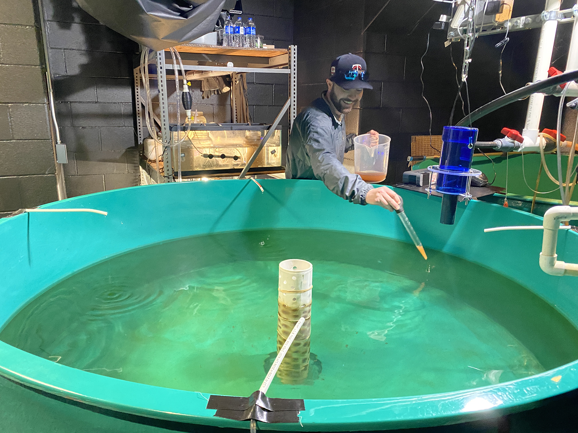 Person feeding fish that are in an aquaculture tank.