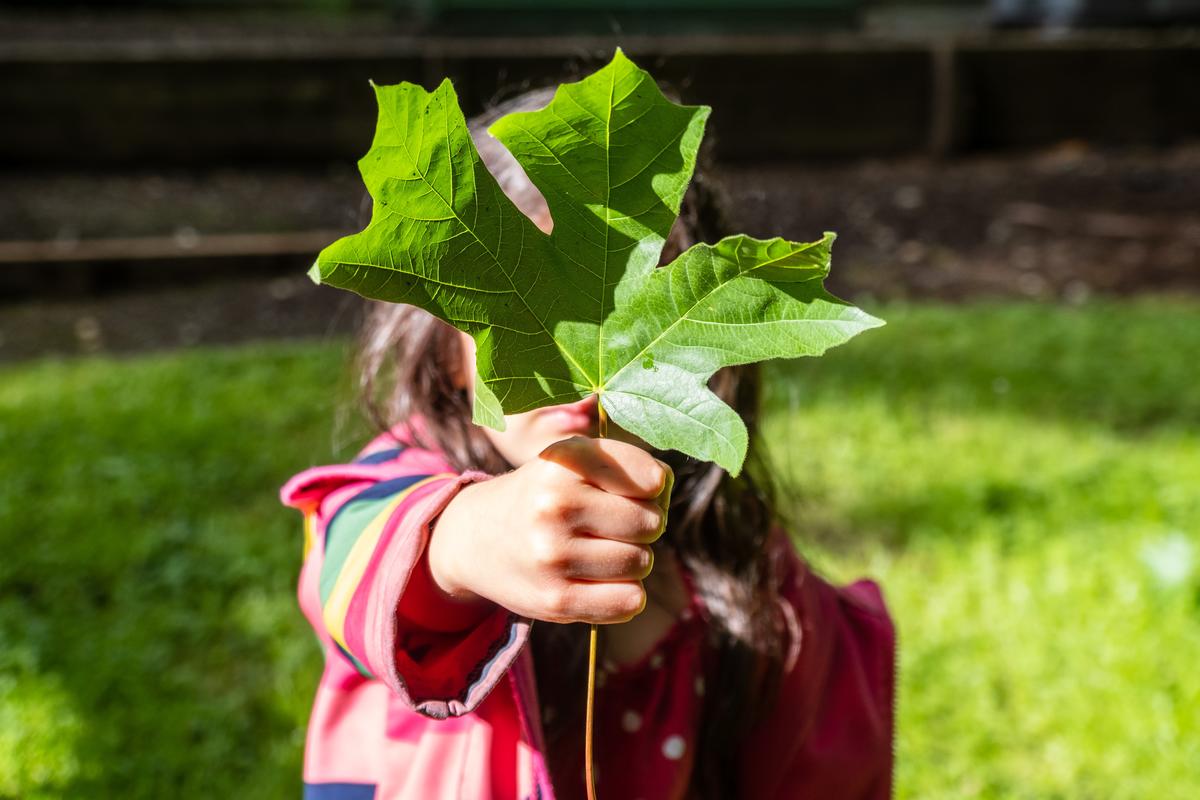 Child holding up a leaf with one hand.