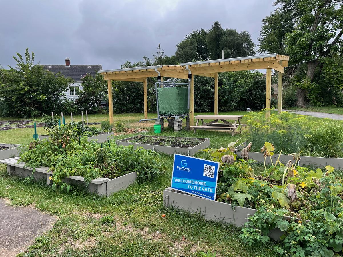 Rainwater harvesting equipment, planter boxes filled with plants, picnic table, and pergola (shelter) structure.