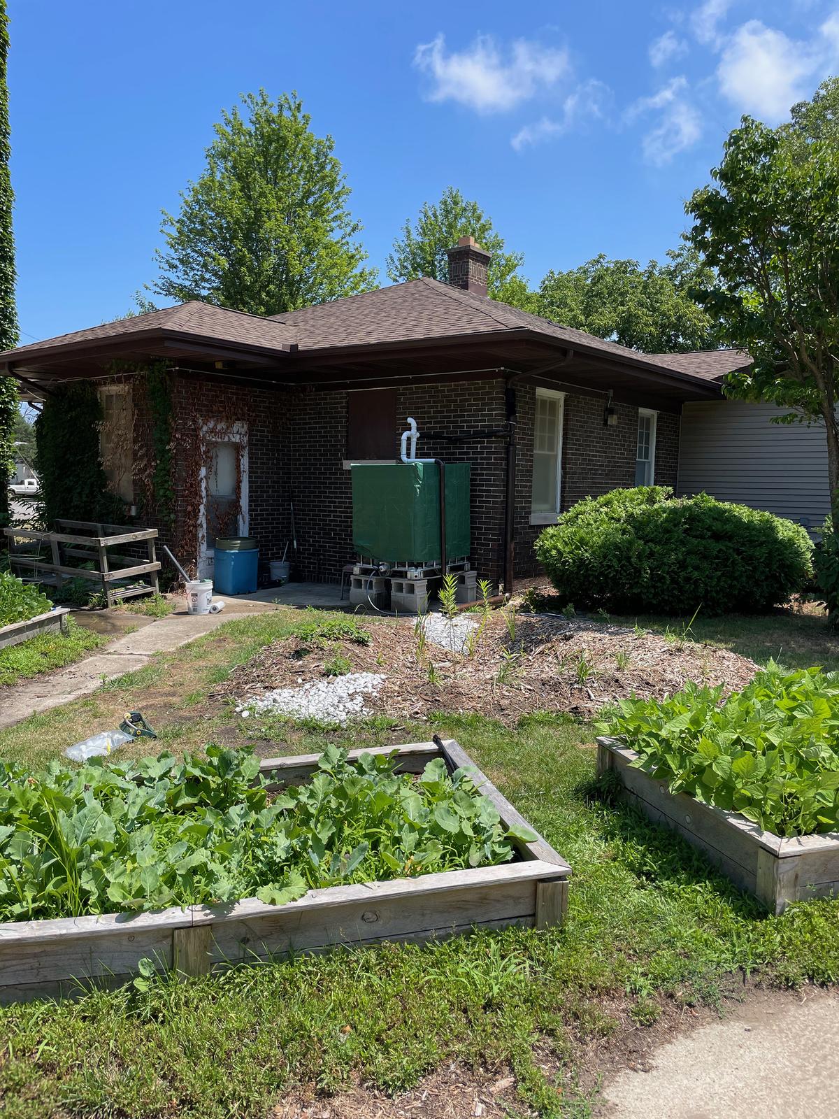 Rainwater harvesting equipment, planter boxes filled with plants, near house.